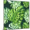 Vector Illustration with Tropical Leaves-Monash-Mounted Art Print