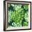 Vector Illustration with Tropical Leaves-Monash-Framed Art Print