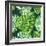 Vector Illustration with Tropical Leaves-Monash-Framed Premium Giclee Print