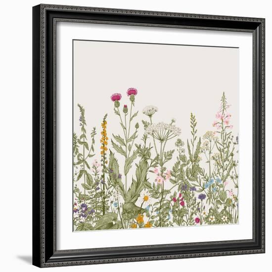 Vector Seamless Floral Border. Herbs and Wild Flowers. Botanical Illustration Engraving Style. Colo-Olga Korneeva-Framed Art Print