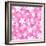 Vector Seamless Pattern with White and Pink Flowers.-Naddiya-Framed Art Print