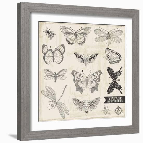 Vector Set: Calligraphic Hand Drawn Butterflies - for Design and Scrapbook - in Vector-woodhouse-Framed Art Print