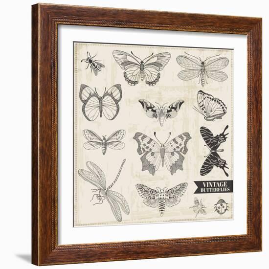 Vector Set: Calligraphic Hand Drawn Butterflies - for Design and Scrapbook - in Vector-woodhouse-Framed Art Print