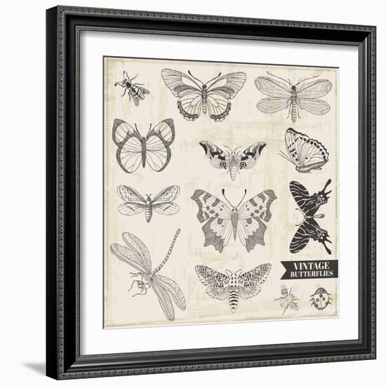 Vector Set: Calligraphic Hand Drawn Butterflies - for Design and Scrapbook - in Vector-woodhouse-Framed Art Print