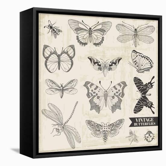 Vector Set: Calligraphic Hand Drawn Butterflies - for Design and Scrapbook - in Vector-woodhouse-Framed Stretched Canvas