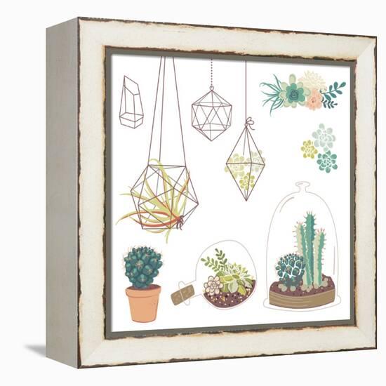 Vector Set with Succulents, Flowers and Glass Terrariums-Alisa Foytik-Framed Stretched Canvas