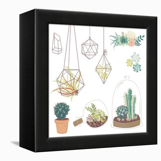 Vector Set with Succulents, Flowers and Glass Terrariums-Alisa Foytik-Framed Stretched Canvas