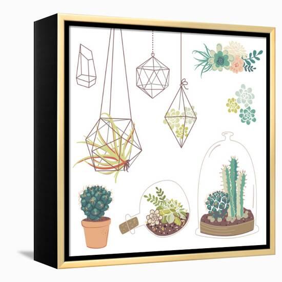 Vector Set with Succulents, Flowers and Glass Terrariums-Alisa Foytik-Framed Stretched Canvas