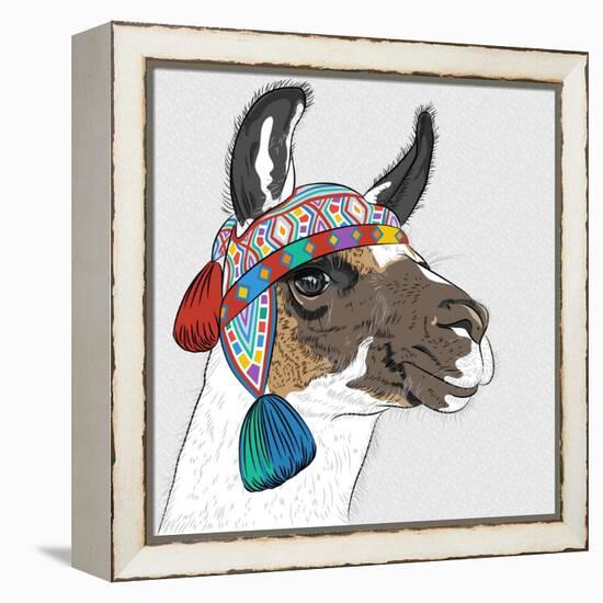 Vector Sketch of Alpaca-kavalenkava volha-Framed Stretched Canvas