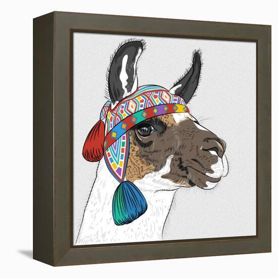 Vector Sketch of Alpaca-kavalenkava volha-Framed Stretched Canvas