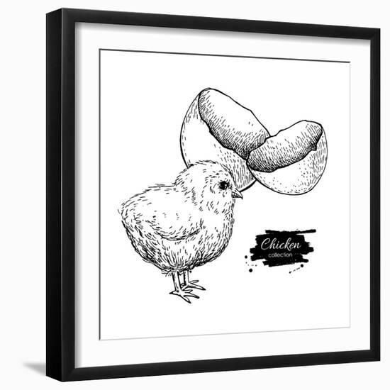 Vector Vintage Hand Drawn Chicken Baby and Egg Shell. Engraved Illustration. Rural Natural Bird Far-Epine-Framed Art Print