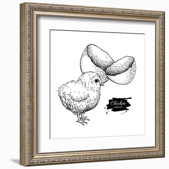 Vector Vintage Hand Drawn Chicken Baby and Egg Shell. Engraved Illustration. Rural Natural Bird Far-Epine-Framed Art Print