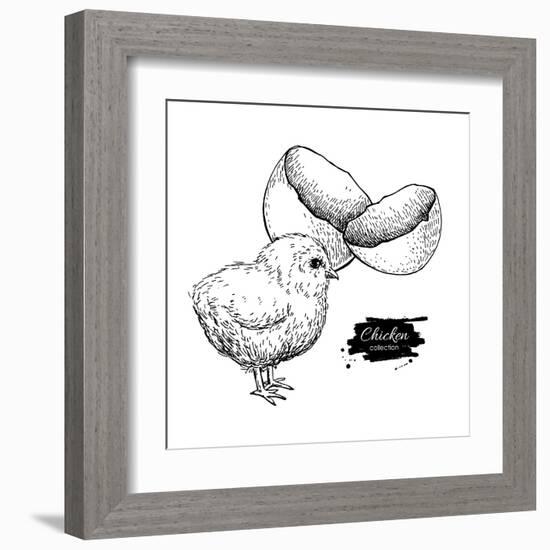 Vector Vintage Hand Drawn Chicken Baby and Egg Shell. Engraved Illustration. Rural Natural Bird Far-Epine-Framed Art Print