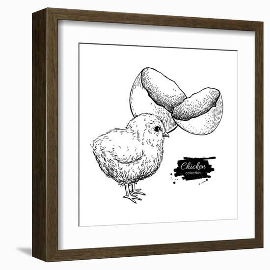 Vector Vintage Hand Drawn Chicken Baby and Egg Shell. Engraved Illustration. Rural Natural Bird Far-Epine-Framed Art Print