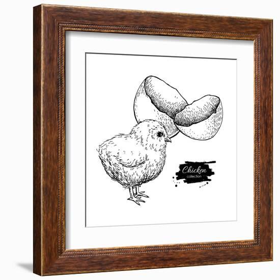 Vector Vintage Hand Drawn Chicken Baby and Egg Shell. Engraved Illustration. Rural Natural Bird Far-Epine-Framed Art Print