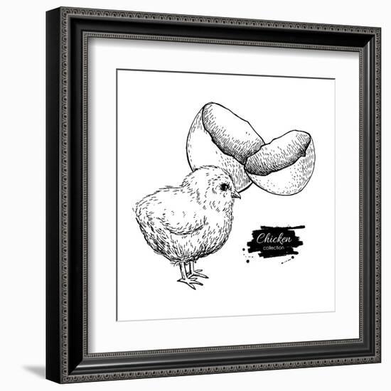 Vector Vintage Hand Drawn Chicken Baby and Egg Shell. Engraved Illustration. Rural Natural Bird Far-Epine-Framed Art Print