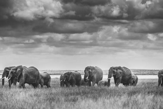 Photographic Print, , large