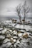 Frozen Lake-Vedran Vidak-Photographic Print