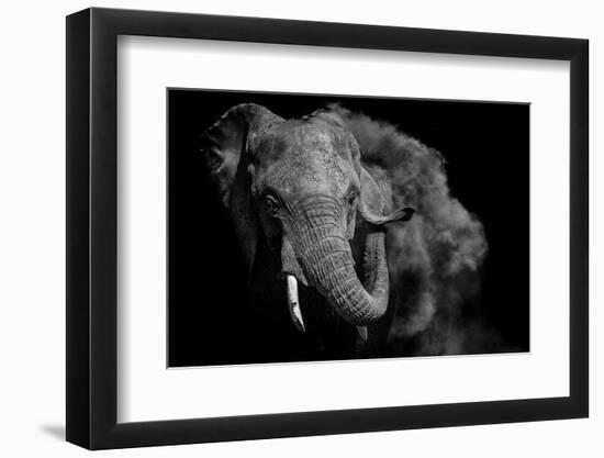 Photographic Print, , large