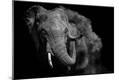 Photographic Print