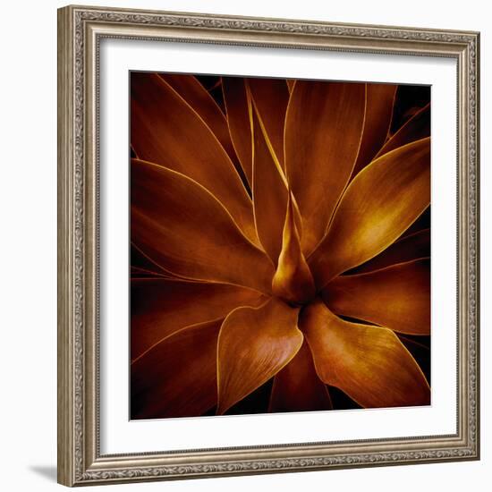 Vega II-Irene Suchocki-Framed Giclee Print