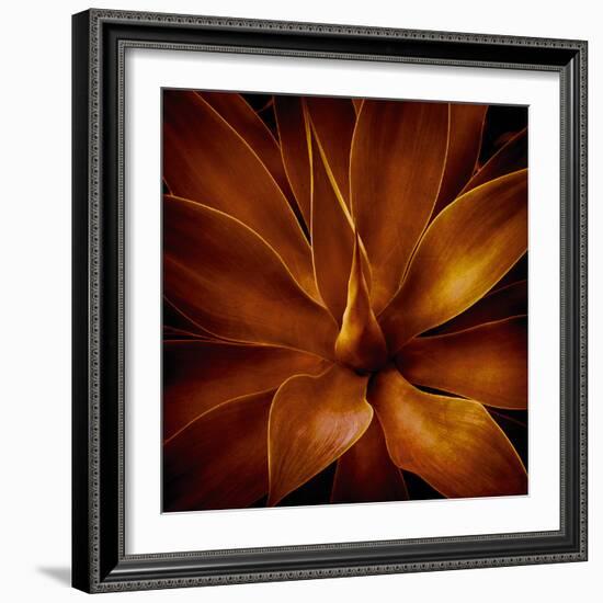 Vega II-Irene Suchocki-Framed Giclee Print