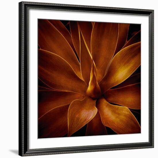 Vega II-Irene Suchocki-Framed Giclee Print