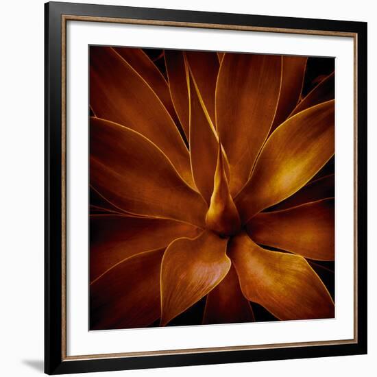 Vega II-Irene Suchocki-Framed Giclee Print