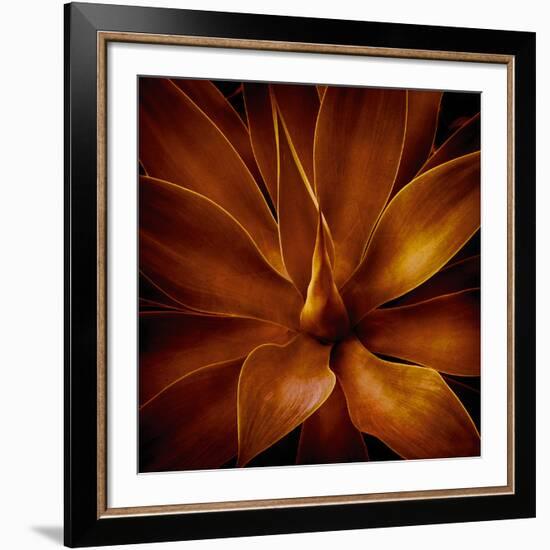 Vega II-Irene Suchocki-Framed Giclee Print