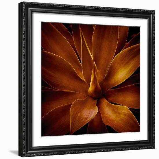 Vega II-Irene Suchocki-Framed Giclee Print