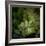 Vega III-Irene Suchocki-Framed Giclee Print