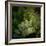 Vega III-Irene Suchocki-Framed Giclee Print