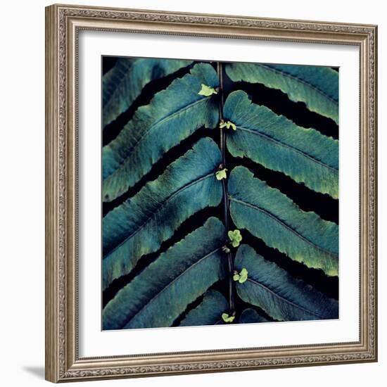 Vega V-Irene Suchocki-Framed Giclee Print