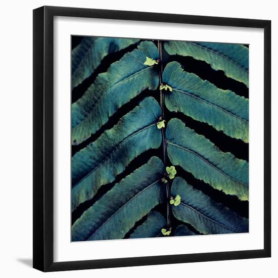 Vega V-Irene Suchocki-Framed Giclee Print