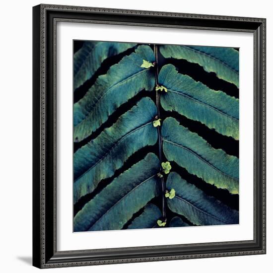 Vega V-Irene Suchocki-Framed Giclee Print