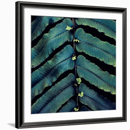 Vega V-Irene Suchocki-Framed Giclee Print