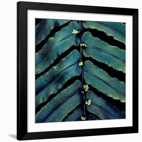 Vega V-Irene Suchocki-Framed Giclee Print