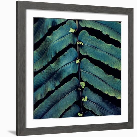 Vega V-Irene Suchocki-Framed Giclee Print