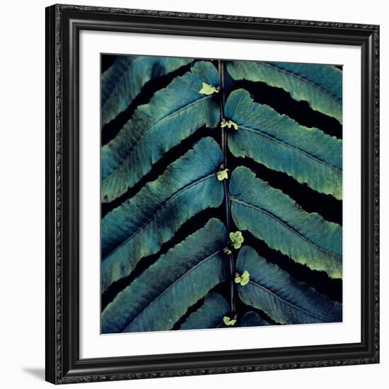 Vega V-Irene Suchocki-Framed Giclee Print