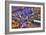 Vegas II-Moises Levy-Framed Photographic Print