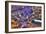 Vegas II-Moises Levy-Framed Photographic Print