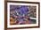 Vegas II-Moises Levy-Framed Photographic Print