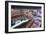 Vegas III-Moises Levy-Framed Photographic Print