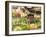 Vegetable and Food, Khon Kaen, Thailand-Gavriel Jecan-Framed Photographic Print