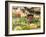 Vegetable and Food, Khon Kaen, Thailand-Gavriel Jecan-Framed Photographic Print