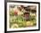 Vegetable and Food, Khon Kaen, Thailand-Gavriel Jecan-Framed Photographic Print