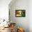 Vegetable Display at Nagycsarnok Market, Budapest, Hungary, Europe-Richard Nebesky-Framed Premier Image Canvas displayed on a wall