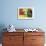 Vegetable Display at Nagycsarnok Market, Budapest, Hungary, Europe-Richard Nebesky-Framed Photographic Print displayed on a wall