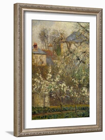 Vegetable Garden and Trees in Bloom in Spring in Pontoise (Plum Trees in Bloom) Detail. Painting By-Camille Pissarro-Framed Giclee Print