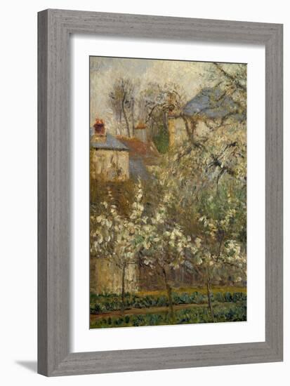 Vegetable Garden and Trees in Bloom in Spring in Pontoise (Plum Trees in Bloom) Detail. Painting By-Camille Pissarro-Framed Giclee Print